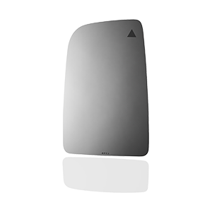 SIDE VIEW MIRROR W BLIND SPOT